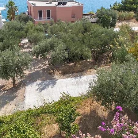 Apartamento Sunrise Duilovo